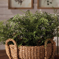 Maidenhair Fern 13"