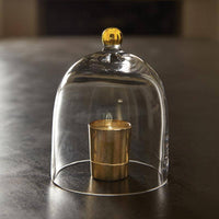 Glass Cloche with Gold Knob