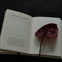 The Becoming Journal