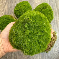 Large Artificial Moss Ball