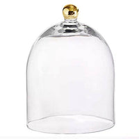 Glass Cloche with Gold Knob
