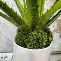 Artificial Moss Rocks