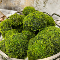 Artificial Moss Rocks