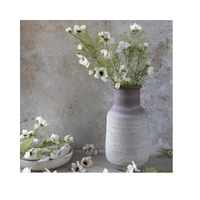 Artificial Cosmos Cream
