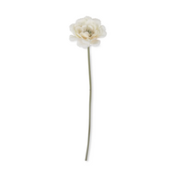 Peony Stem Garden Lace
