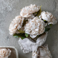 Peony Stem