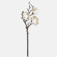 Magnolia Stem