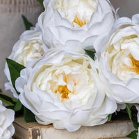 White Peony Stem