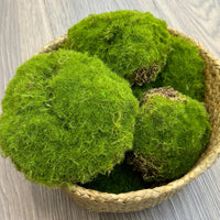 Large Artificial Moss Ball