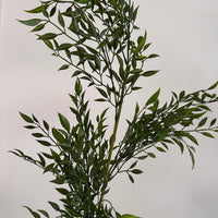 Stem Spray