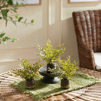 Maidenhair Ferns, Set Of 3