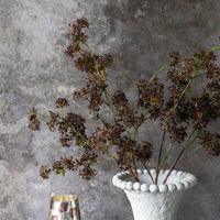 Hogweed