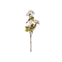 Rose Spray