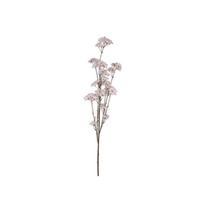 Cherry Blossom