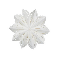 Paper Snowflake