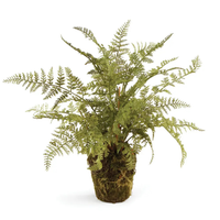 Soft Fern 13"