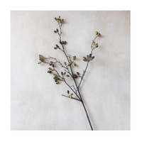 Artificial Barberry