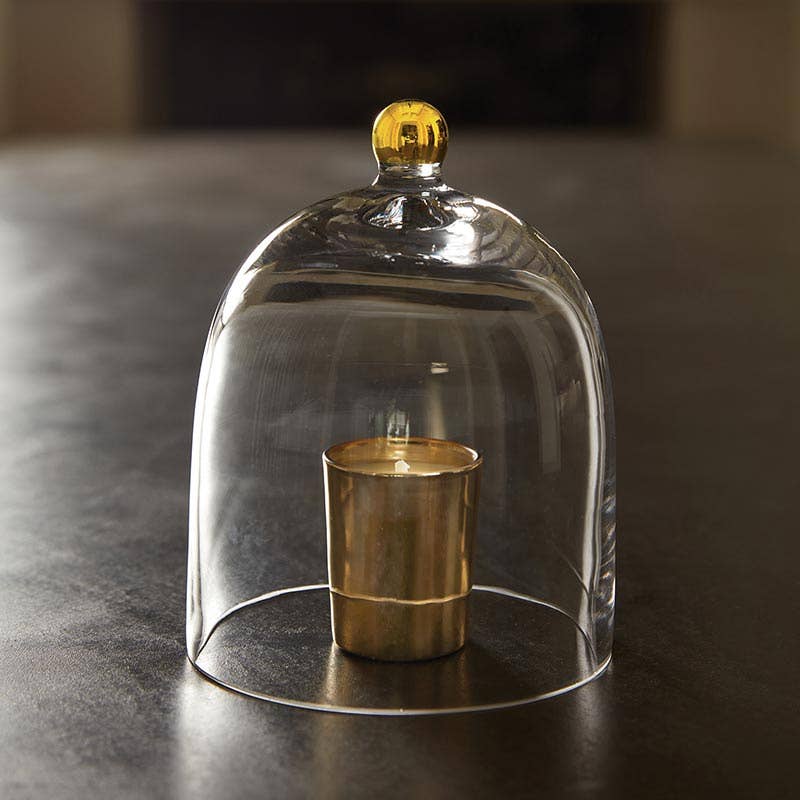 Glass Cloche with Gold Knob