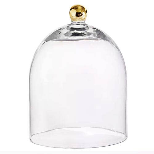 Glass Cloche with Gold Knob