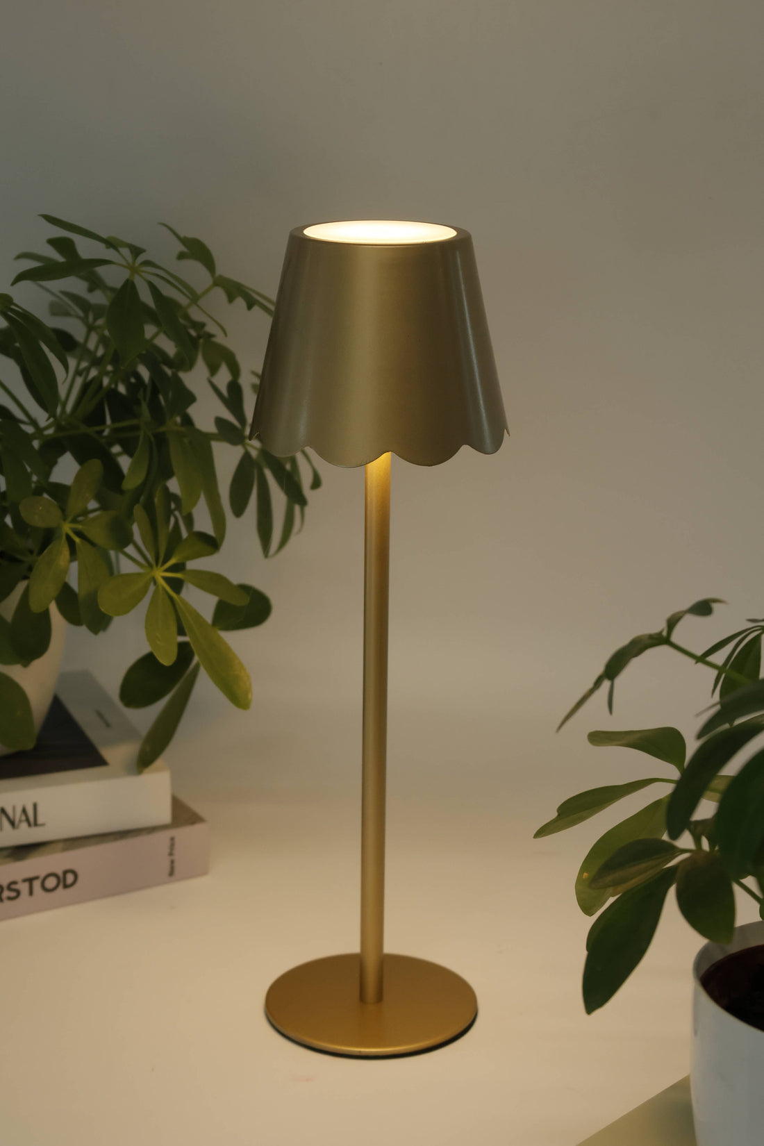 Scalloped Shade Lamp