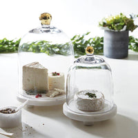 Glass Cloche with Gold Knob