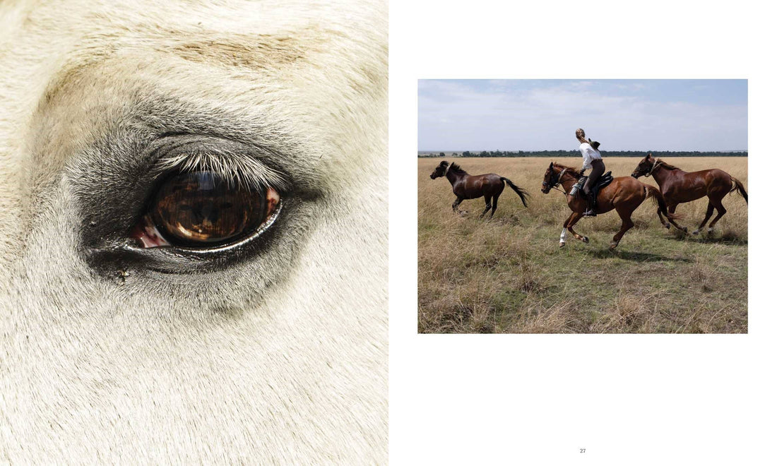 Horse Country Book