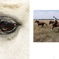 Horse Country Book