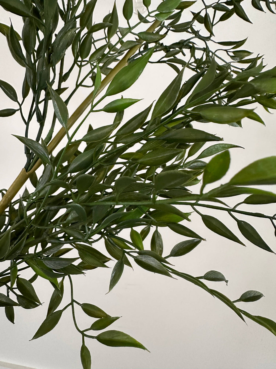 Stem Spray