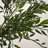 Stem Spray