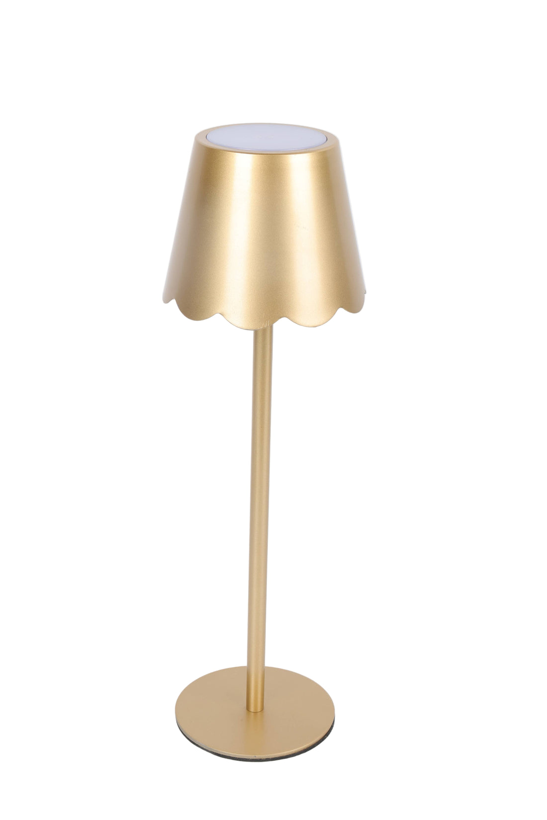 Scalloped Shade Lamp