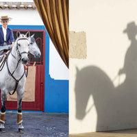 Horse Country Book