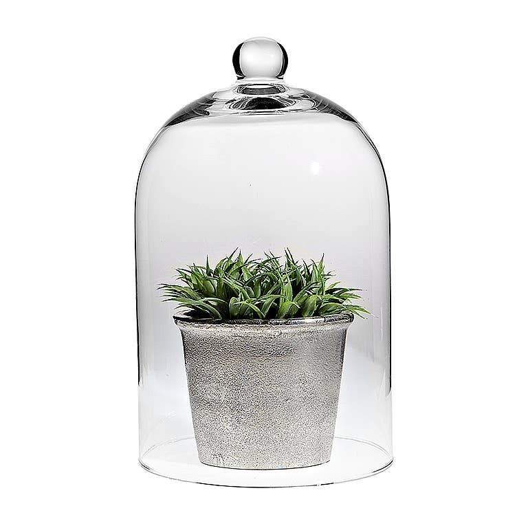 Cloche