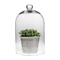 Cloche