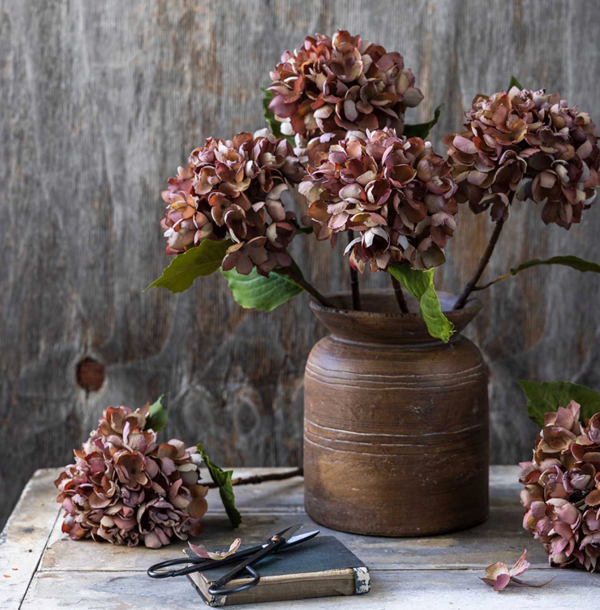 Hydrangea - Pink