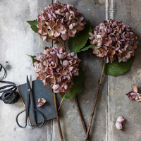 Hydrangea - Pink