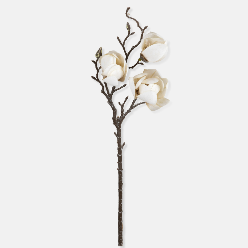 Magnolia Stem