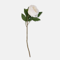 White Peony Stem