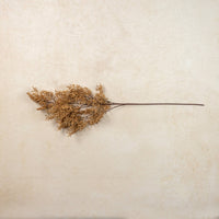 Caspia Spray