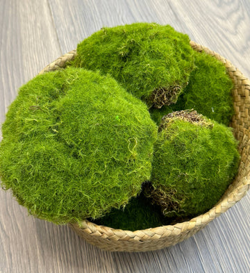 Large Artificial Moss Ball