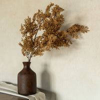 Caspia Spray