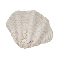Wavy Shell Bowl