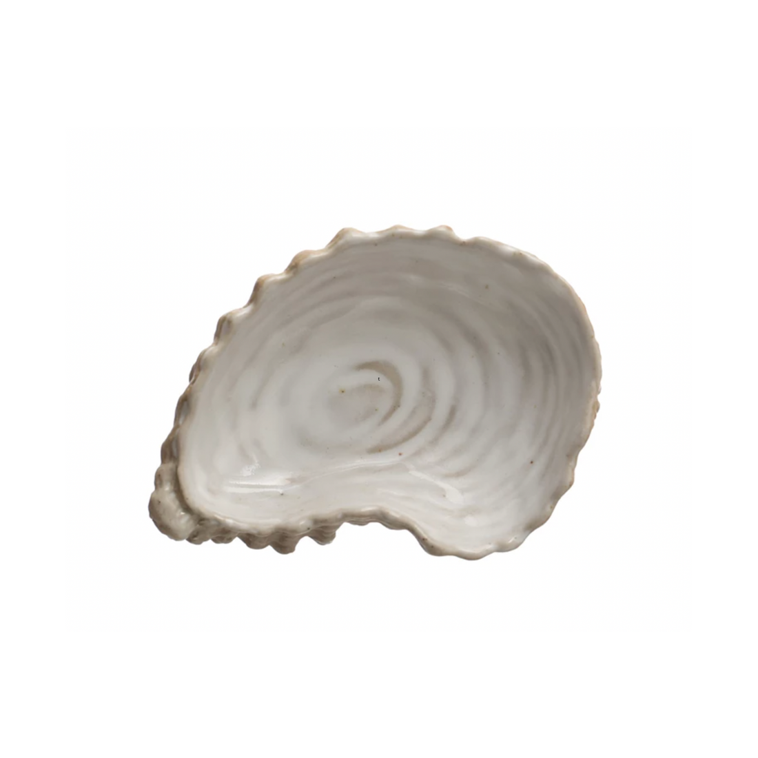 Shell Dish