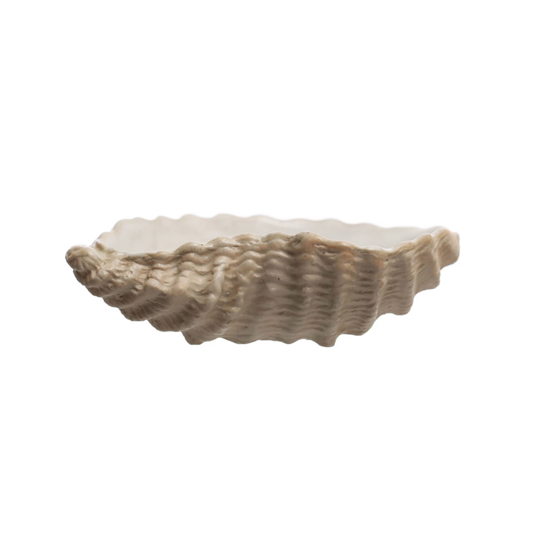 Shell Dish