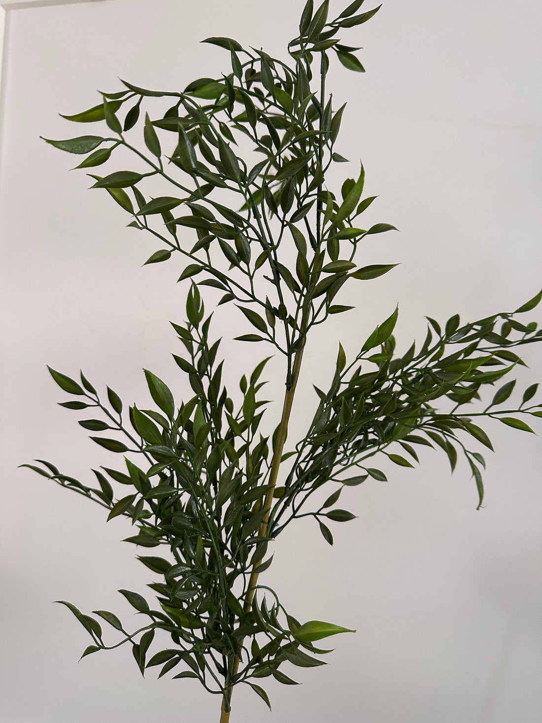 Stem Spray
