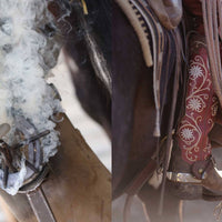 Horse Country Book
