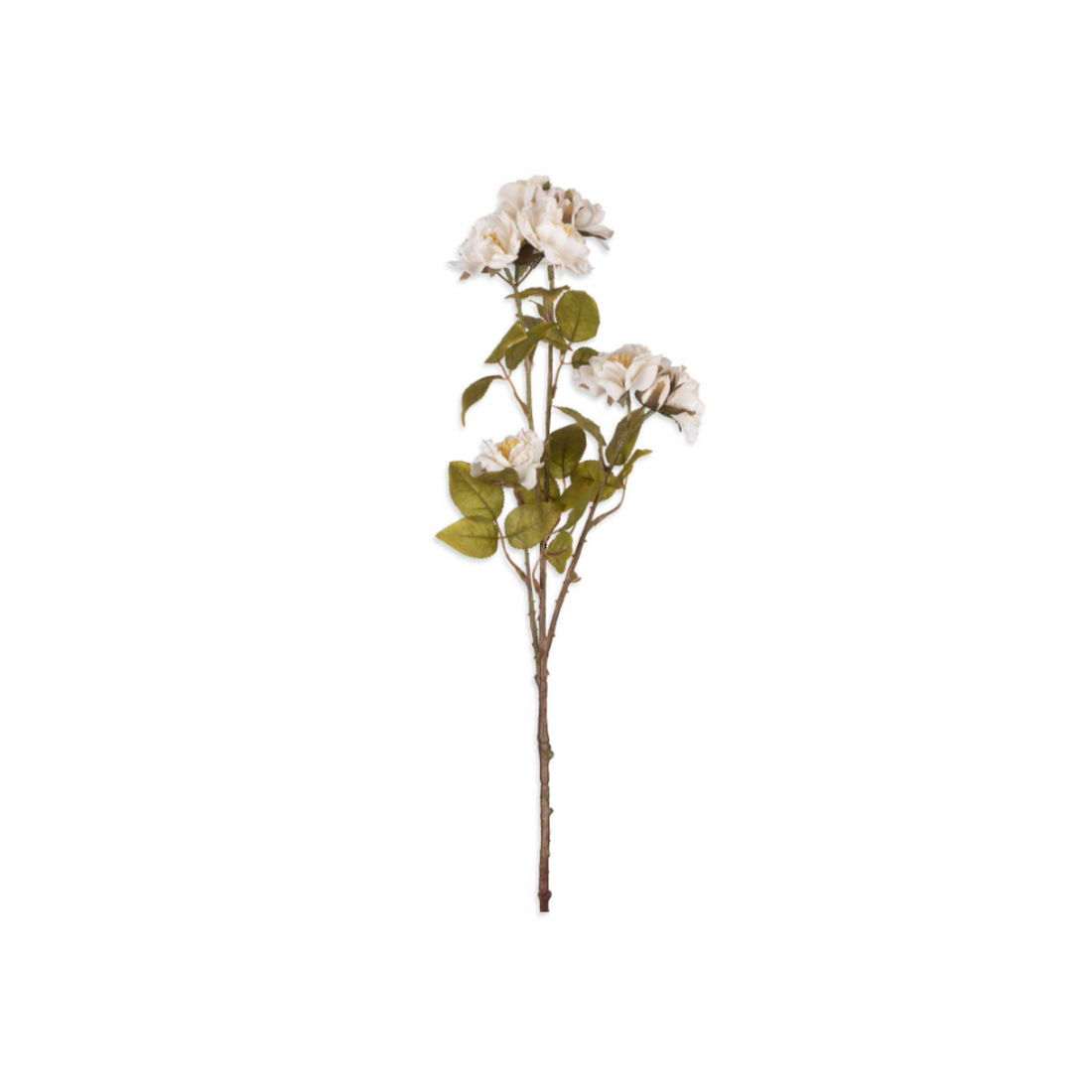 Rose Spray