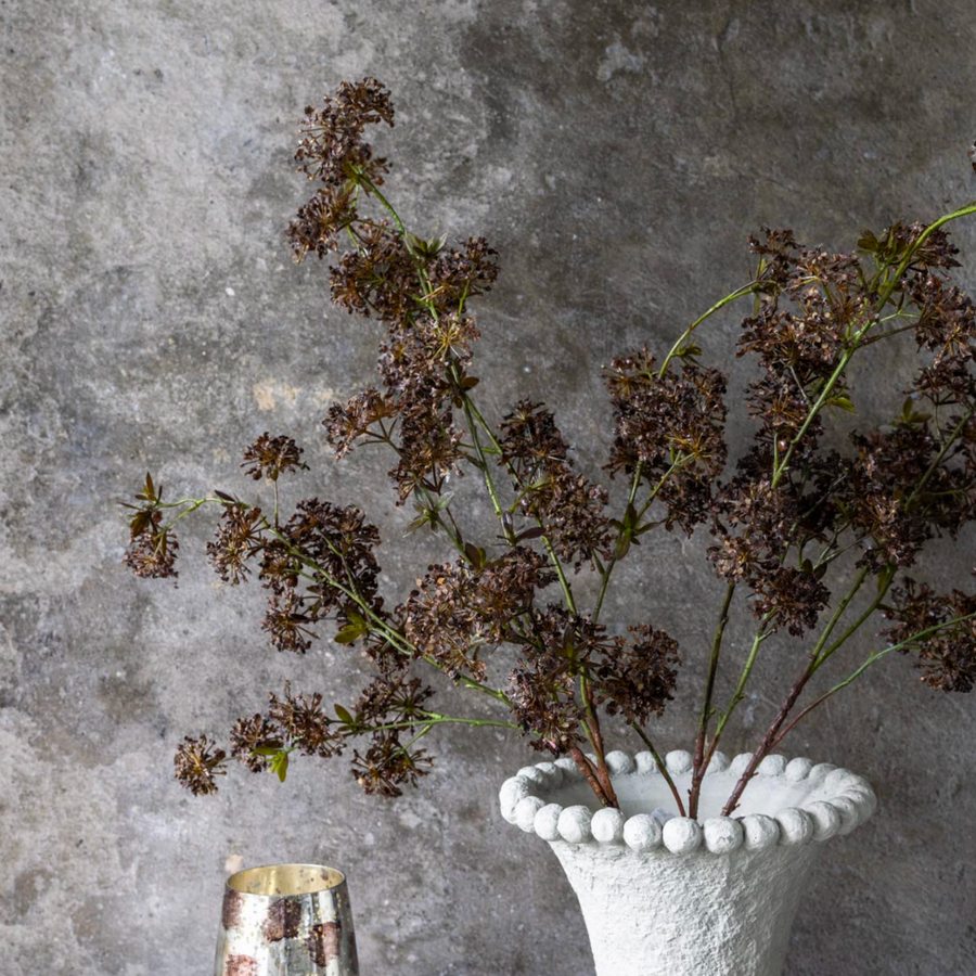 Hogweed