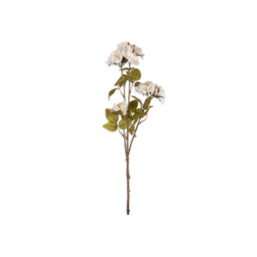 Rose Spray