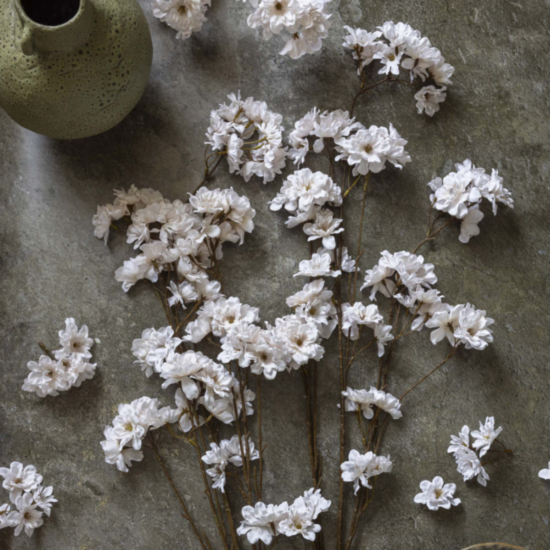 Cherry Blossom