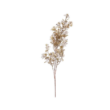 Prunus Blossom